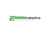 Bildelaronline24